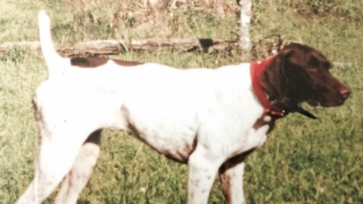 Annie’s Little Stinker