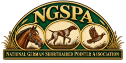 NGSPA Logo