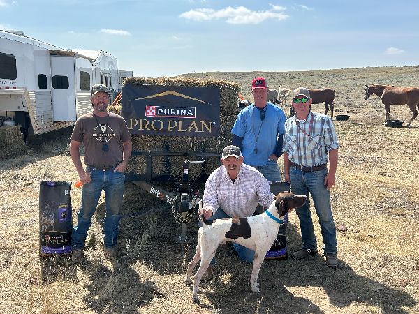 NGSPA Sharptail Championships NGSPA Sharptail Championships